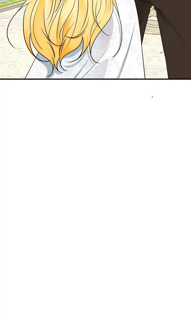 33488052 800 1333 25856