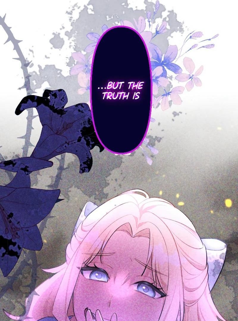 71590094 800 1080 129962